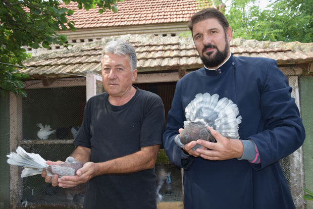 Два брата пронашла мир уз веру и голубове